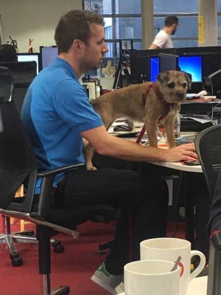 daily picdump 98 pics 36.html - 98 HD Photos | Premium Gallery 2016