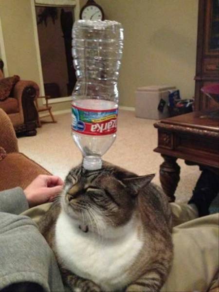 daily picdump 98 pics 36.html - 98 HD Photos | Premium Gallery 2016