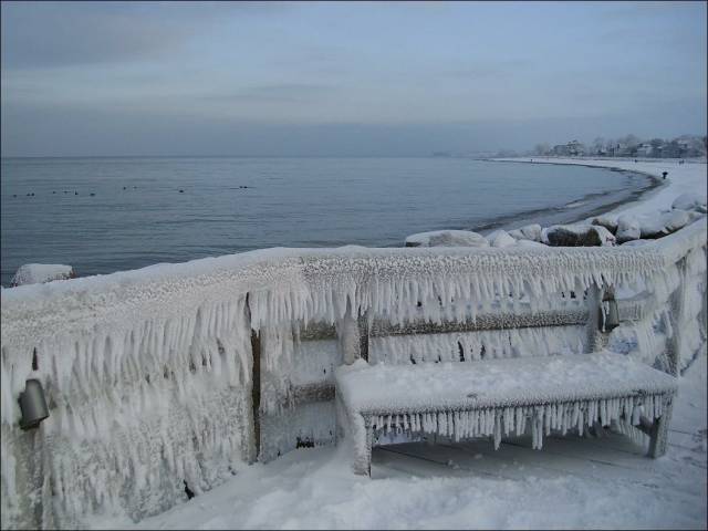 daily picdump 98 pics 36.html - 98 HD Photos | Premium Gallery 2016