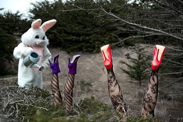 daily picdump 98 pics 36.html - 98 HD Photos | Premium Gallery 2016