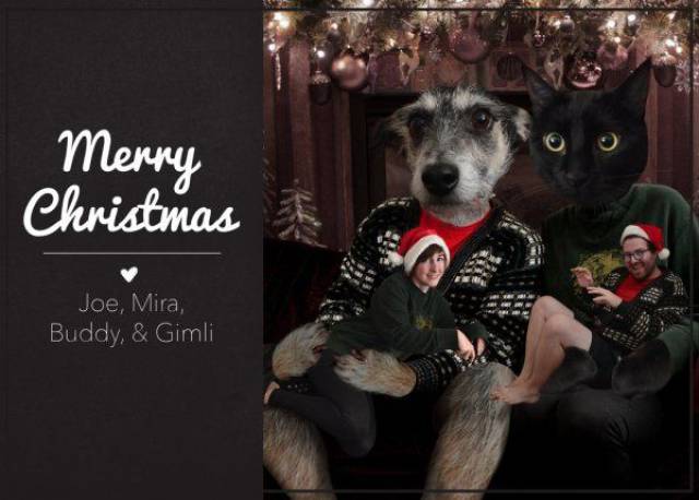 daily picdump 98 pics 36.html - 98 HD Photos | Premium Gallery 2016