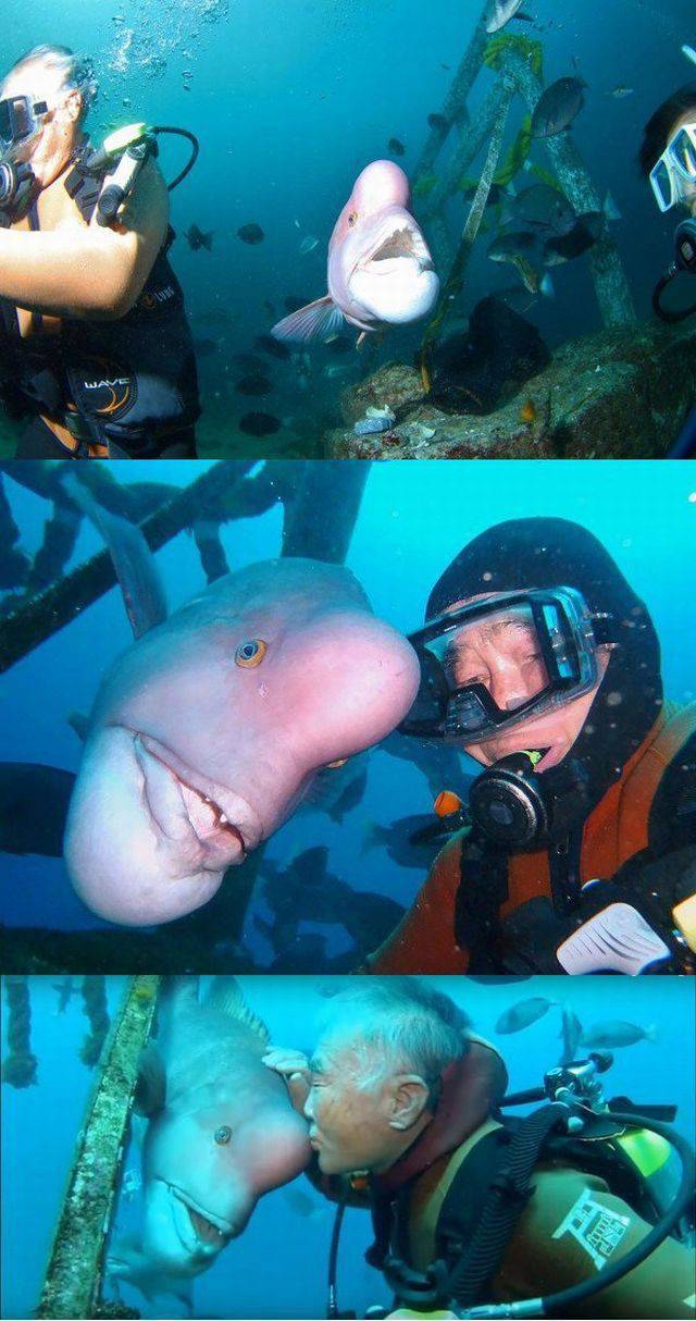 daily picdump 98 pics 36.html - 98 HD Photos | Premium Gallery 2016