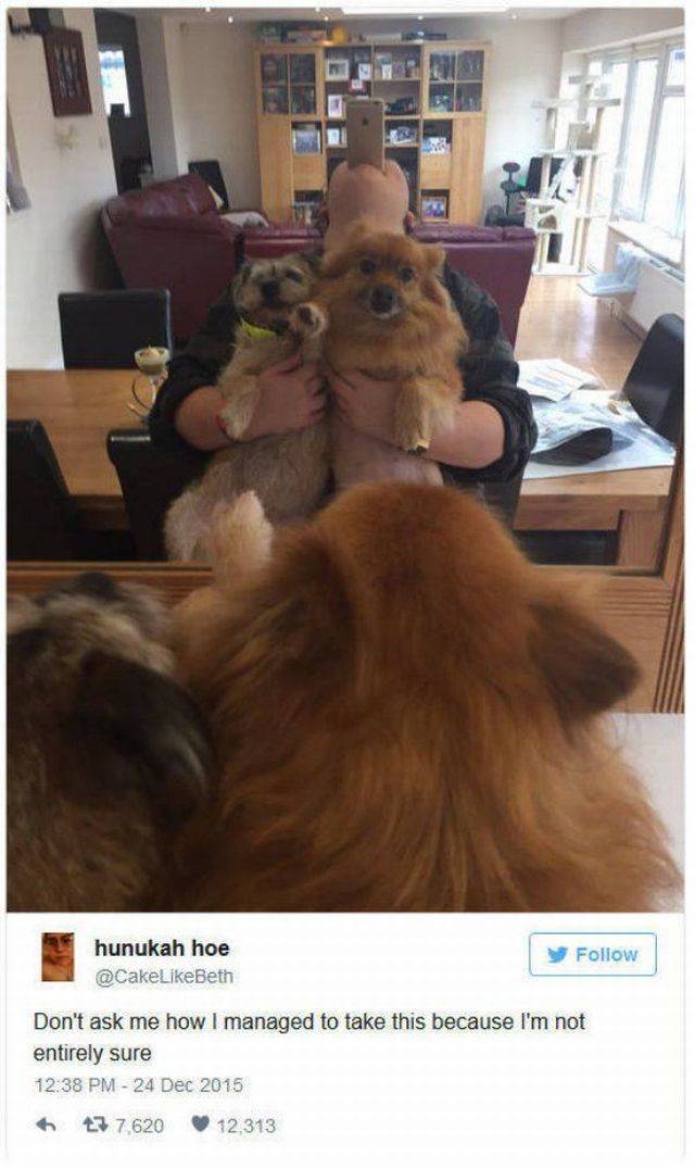 daily picdump 98 pics 36.html - 98 HD Photos | Premium Gallery 2016