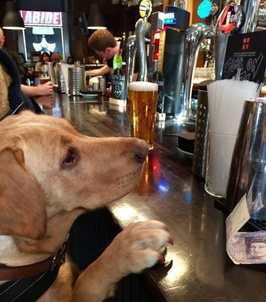 Daily Picdump [WEEKEND EDITION]