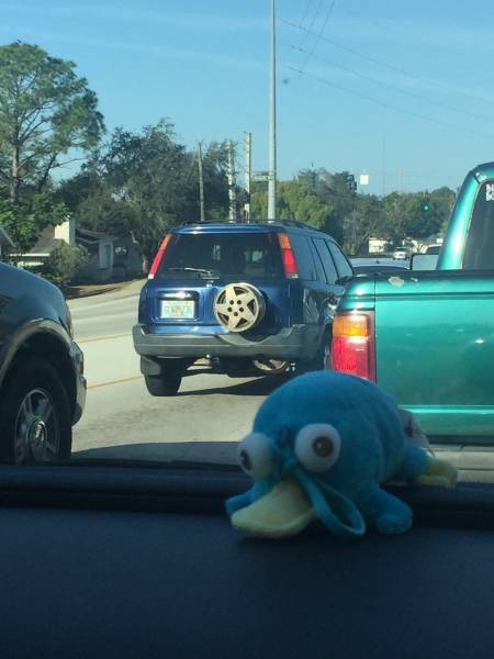 Daily Picdump [WEEKEND EDITION]