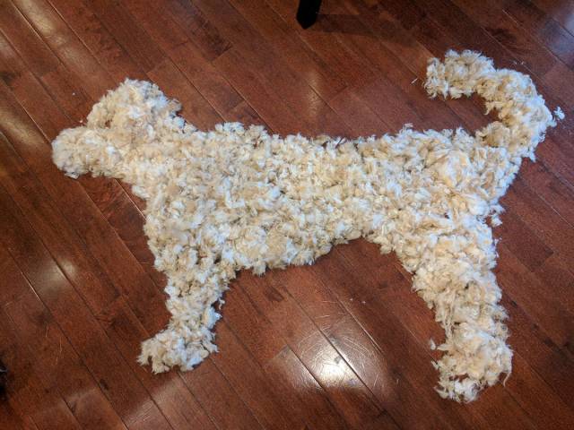 Daily Picdump [WEEKEND EDITION]