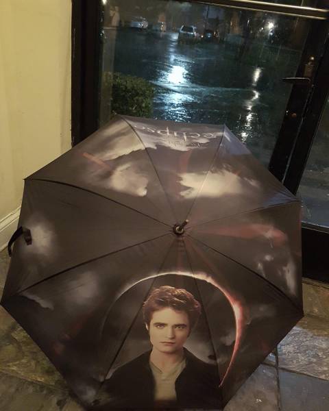 Daily Picdump [WEEKEND EDITION]