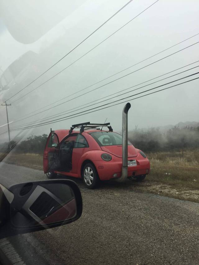 Daily Picdump [WEEKEND EDITION]