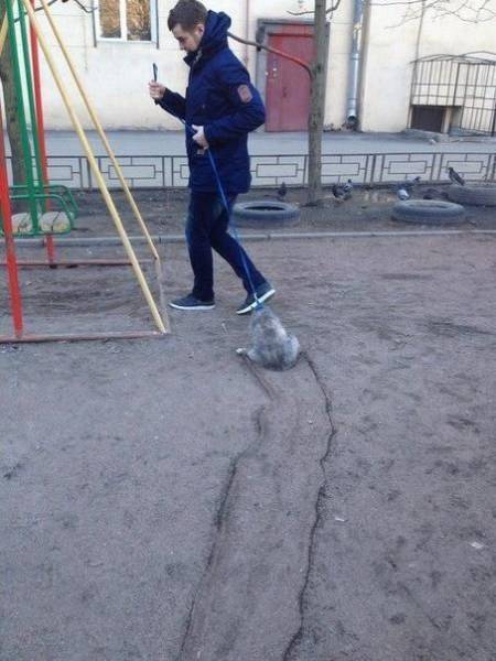 daily picdump 86 pics 3.html - 86 HD Photos | Premium Gallery 2016