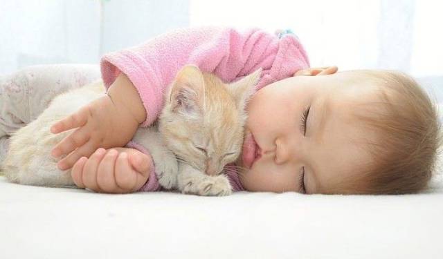 daily picdump 86 pics 3.html - 86 HD Photos | Premium Gallery 2016