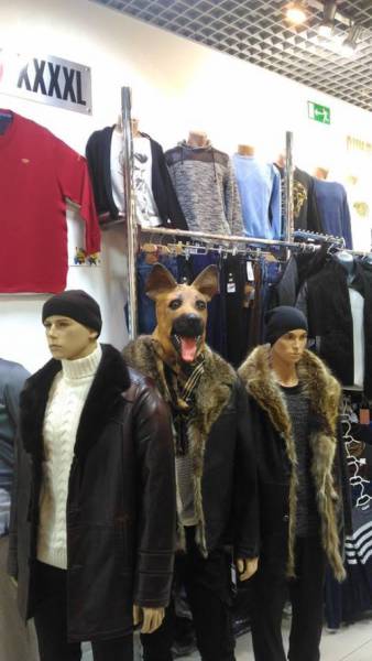 daily picdump 86 pics 3.html - 86 HD Photos | Premium Gallery 2016