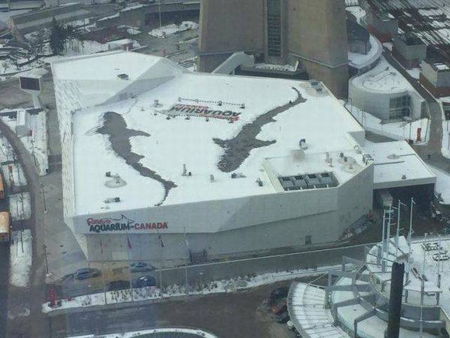 daily picdump 90 pics 24.html - 90 HD Photos | Premium Gallery 2016