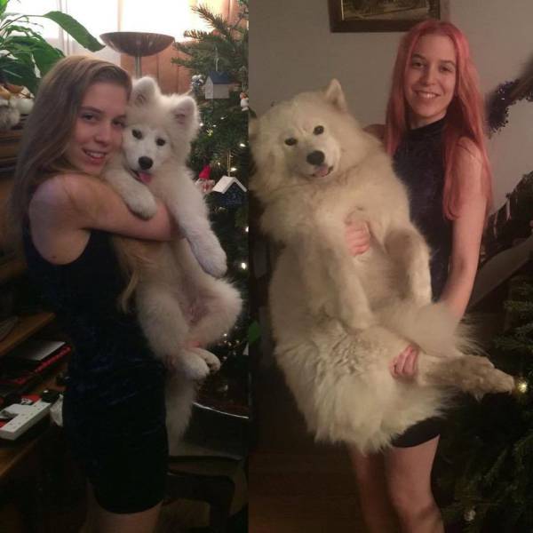 daily picdump 90 pics 24.html - 90 HD Photos | Premium Gallery 2016