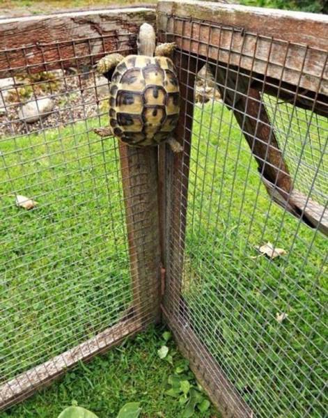 daily picdump 90 pics 24.html - 90 HD Photos | Premium Gallery 2016