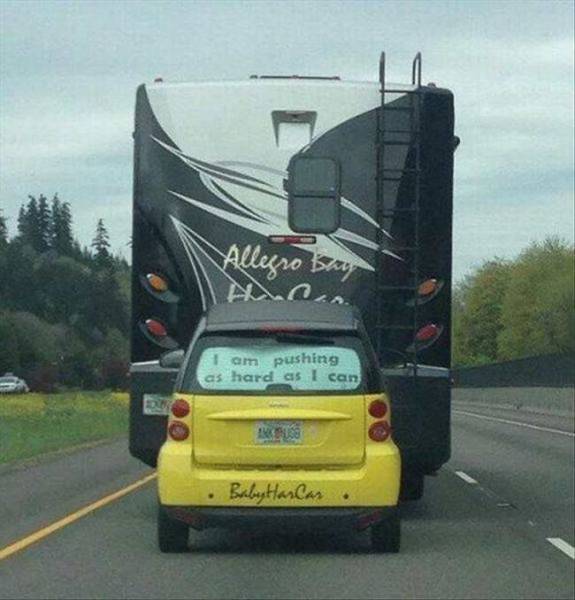 daily picdump 90 pics 24.html - 90 HD Photos | Premium Gallery 2016