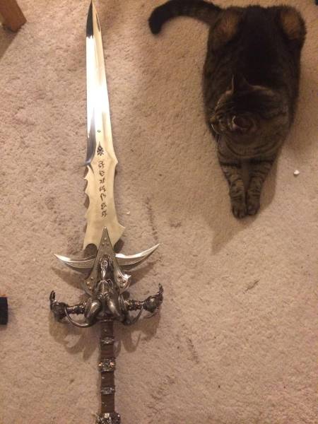 daily picdump 90 pics 24.html - 90 HD Photos | Premium Gallery 2016