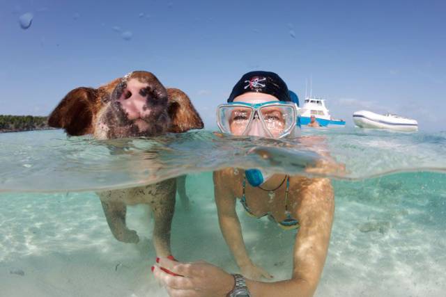 daily picdump 90 pics 24.html - 90 HD Photos | Premium Gallery 2016