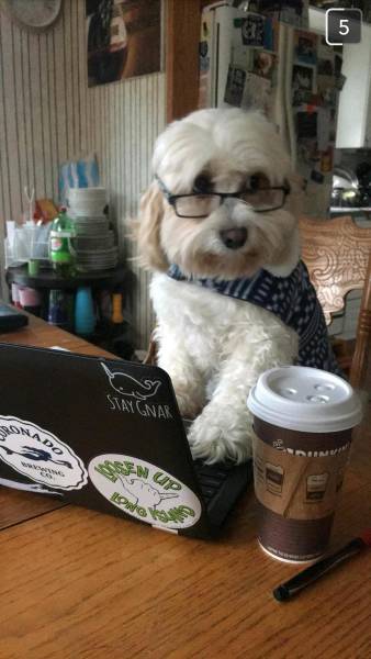 morning picdump 52 pics 14.html - 52 HD Photos | Premium Gallery 2016