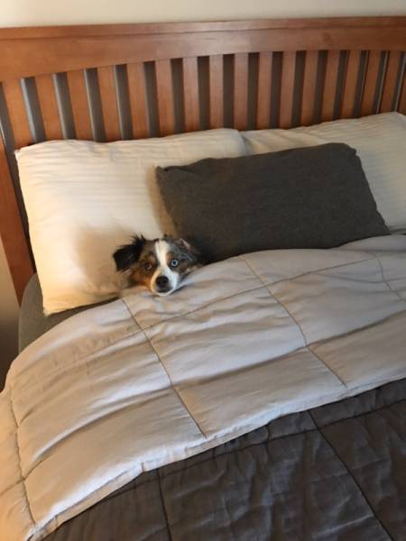 morning picdump 52 pics 14.html - 52 HD Photos | Premium Gallery 2016