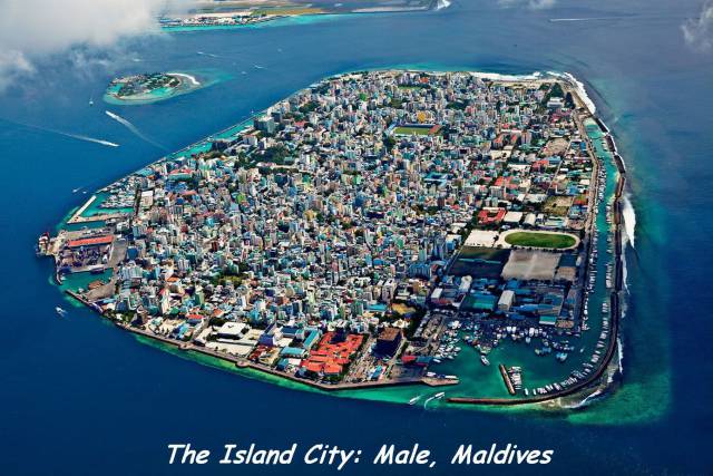 daily picdump 86 pics 5.html - 86 HD Photos | Premium Gallery 2016