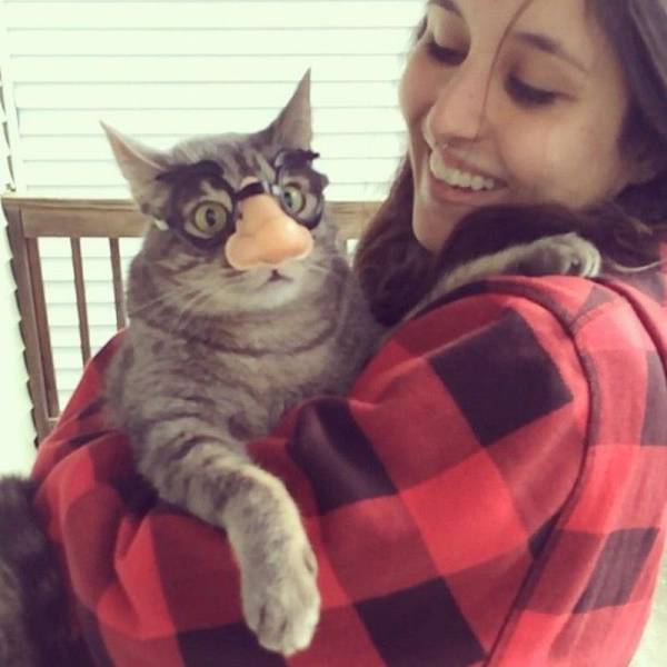 daily picdump 86 pics 5.html - 86 HD Photos | Premium Gallery 2016