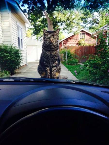 daily picdump 86 pics 5.html - 86 HD Photos | Premium Gallery 2016