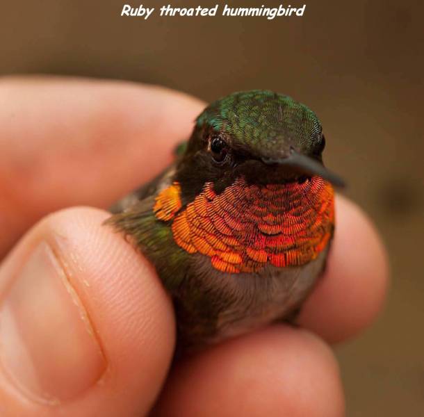 daily picdump 86 pics 5.html - 86 HD Photos | Premium Gallery 2016