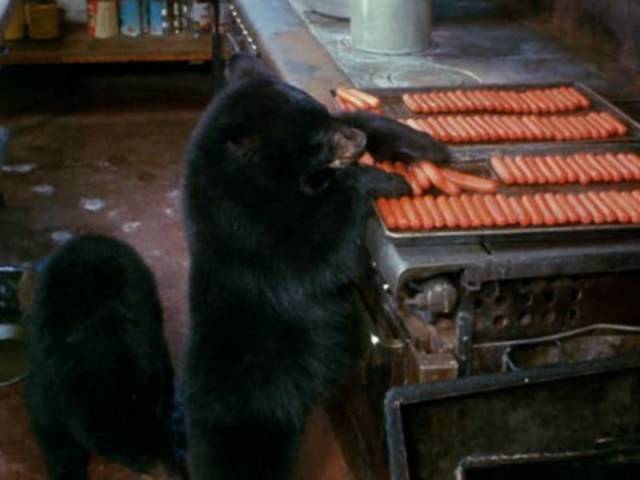 daily picdump 86 pics 5.html - 86 HD Photos | Premium Gallery 2016