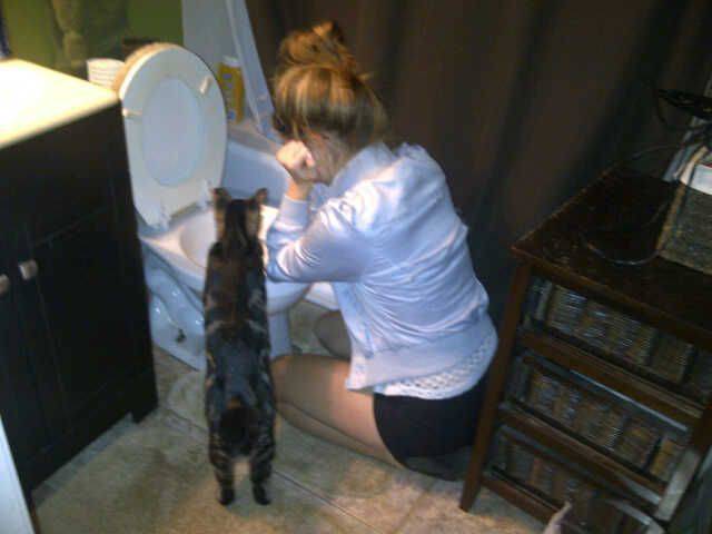 daily picdump 86 pics 5.html - 86 HD Photos | Premium Gallery 2016