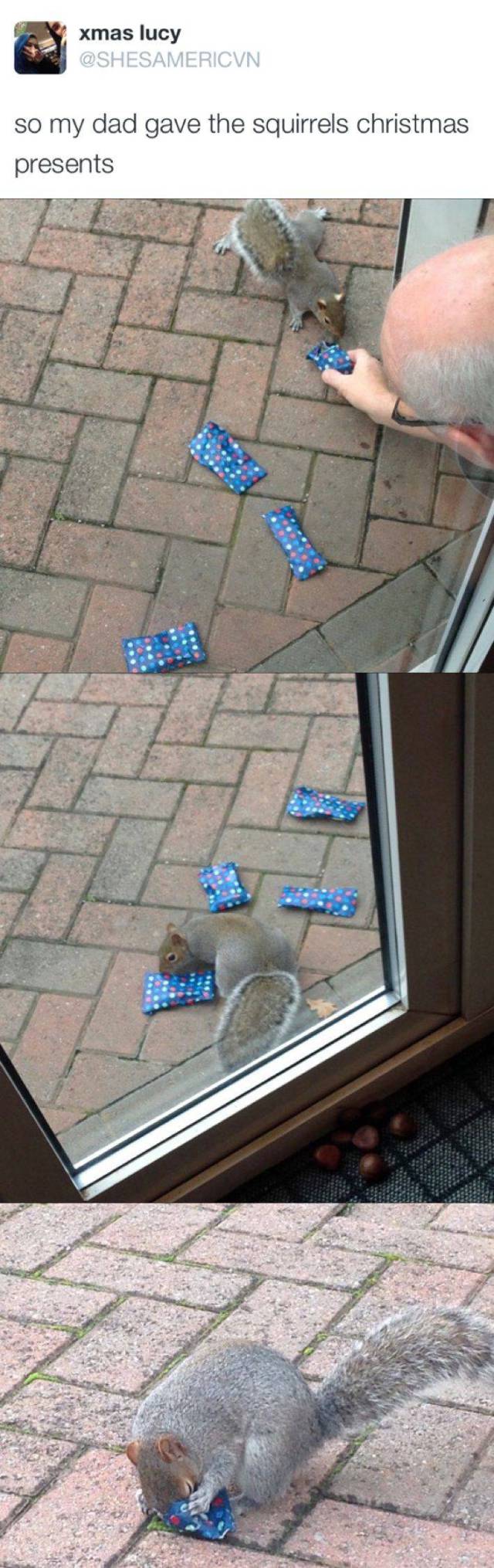 daily picdump 86 pics 5.html - 86 HD Photos | Premium Gallery 2016