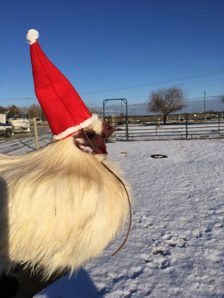 morning picdump 50 pics 22.html - 50 HD Photos | Premium Gallery 2016