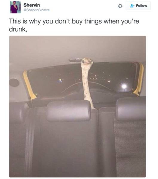 daily picdump 89 pics 45.html - 89 HD Photos | Premium Gallery 2016