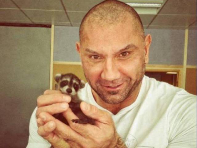 daily picdump 89 pics 45.html - 89 HD Photos | Premium Gallery 2016