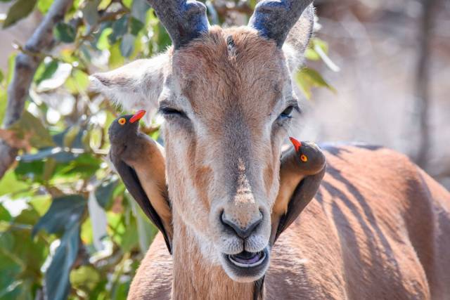 daily picdump 89 pics 45.html - 89 HD Photos | Premium Gallery 2016