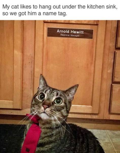 daily picdump 89 pics 45.html - 89 HD Photos | Premium Gallery 2016