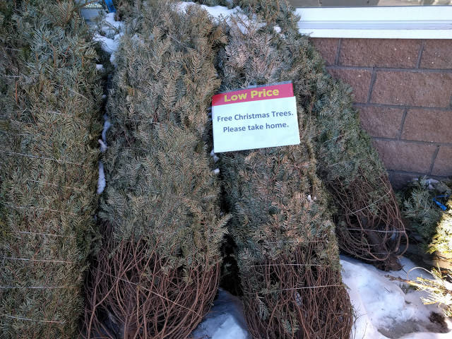 morning picdump 51 pics 9.html - 51 HD Photos | Premium Gallery 2016