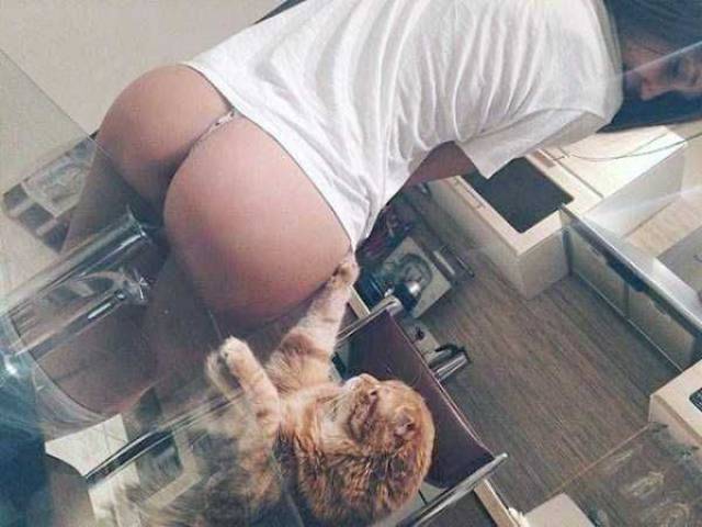 grownup corner 66 pics 16 gifs 24.html - 66 HD GIF | Premium Gallery 2016