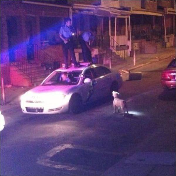 morning picdump 55 pics 4.html - 55 HD Photos | Premium Gallery 2016