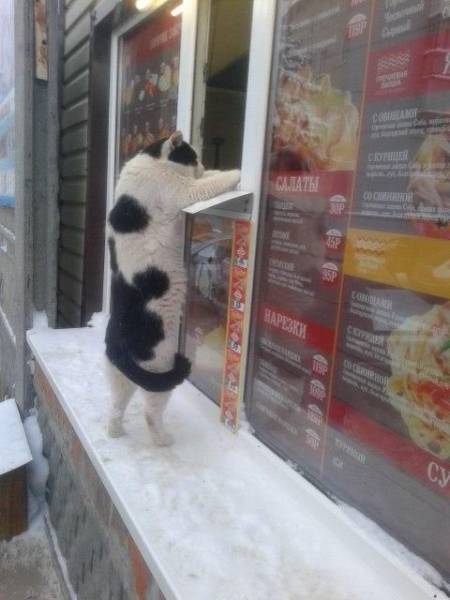 morning picdump 55 pics 4.html - 55 HD Photos | Premium Gallery 2016