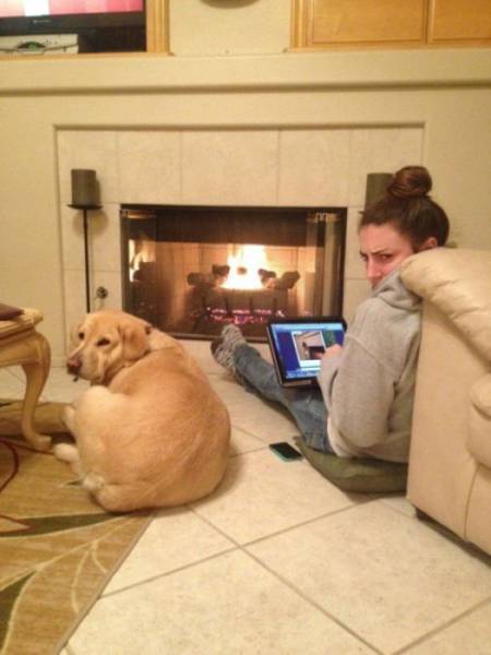 daily picdump 108 pics 46.html - 108 HD Photos | Premium Gallery 2017