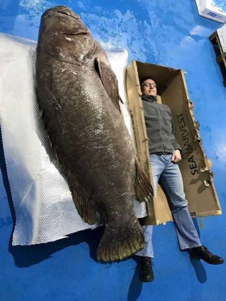 daily picdump 108 pics 46.html - 108 HD Photos | Premium Gallery 2017