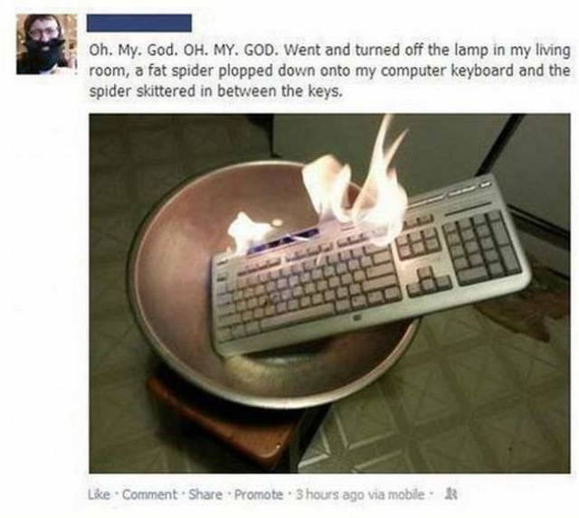 daily picdump 108 pics 46.html - 108 HD Photos | Premium Gallery 2017