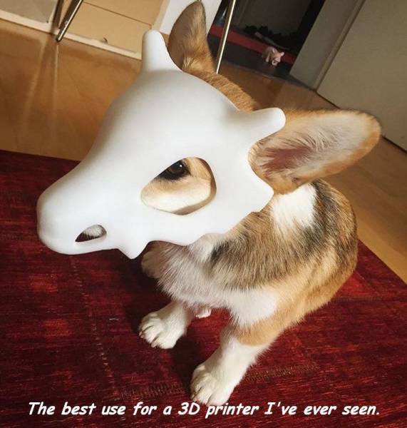 daily picdump 108 pics 46.html - 108 HD Photos | Premium Gallery 2017