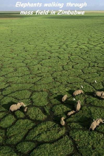 daily picdump 108 pics 46.html - 108 HD Photos | Premium Gallery 2017