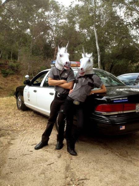 daily picdump 108 pics 46.html - 108 HD Photos | Premium Gallery 2017