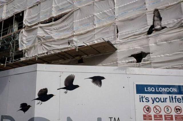 daily picdump 108 pics 46.html - 108 HD Photos | Premium Gallery 2017