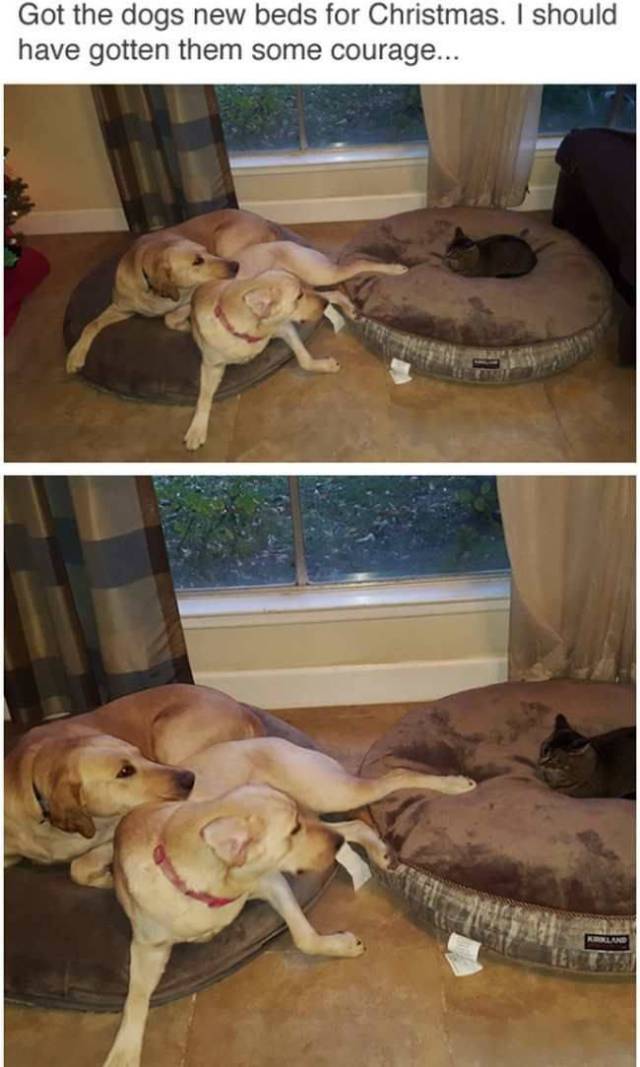 daily picdump 108 pics 46.html - 108 HD Photos | Premium Gallery 2017