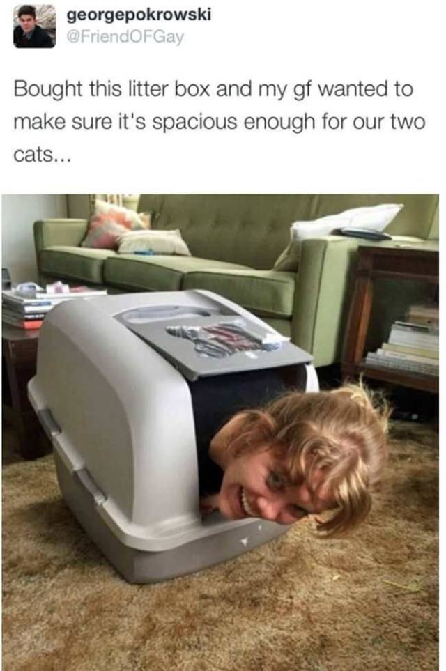 daily picdump 108 pics 46.html - 108 HD Photos | Premium Gallery 2017