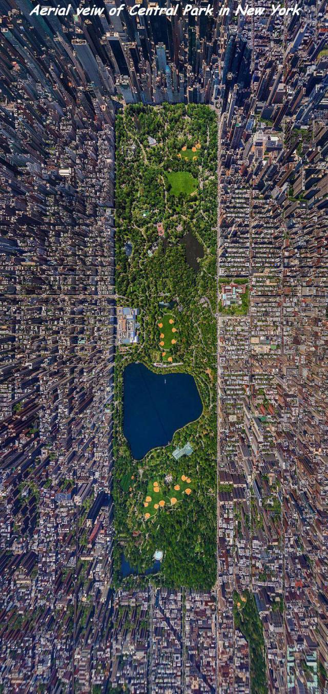 daily picdump 108 pics 46.html - 108 HD Photos | Premium Gallery 2017