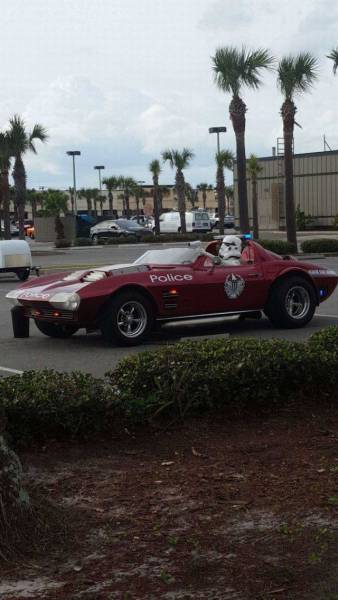 Daily Picdump [WEEKEND EDITION]